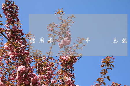 信用卡長時間不還會怎么樣