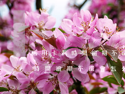 信用卡長時間逾期不還會怎么樣-信用卡長時間逾期不還會怎么樣呢