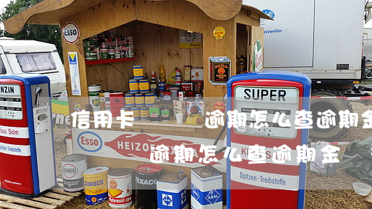 信用卡長時間逾期怎么查逾期金額-信用卡長時間逾期怎么查逾期金額多少