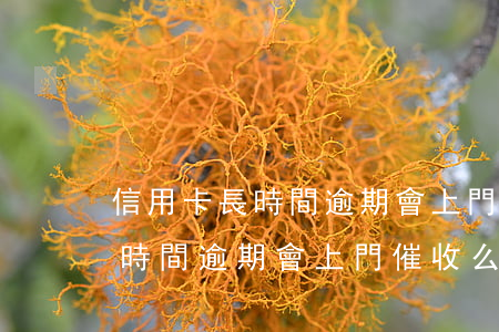 信用卡長時間逾期會上門催收么-信用卡長時間逾期會上門催收么嗎