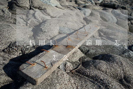 信用卡長時間逾期會怎樣(信用卡逾期時間太長會怎么樣)