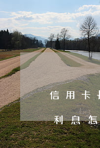 信用卡長期不還利息怎么算(信用卡長期不還利息怎么算)