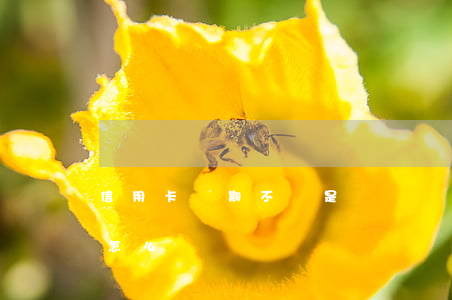 信用卡長期不還是壞賬嗎(信用卡到期不還會怎么樣)