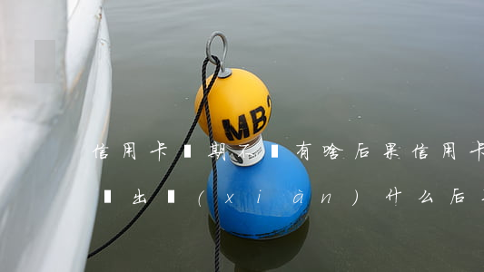 信用卡長期不還有啥后果(信用卡長期不還款會出現(xiàn)什么后果)