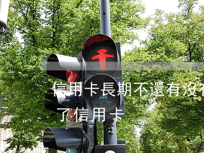 信用卡長期不還有沒有案底(有案底的人辦不了信用卡)