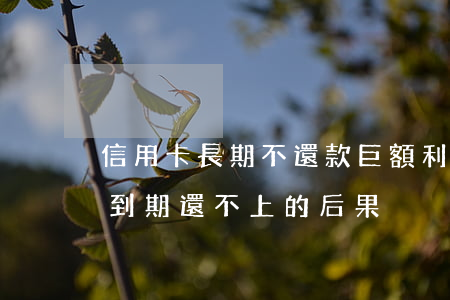 信用卡長期不還款巨額利息(借銀行信用卡錢到期還不上的后果)