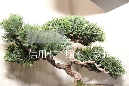 信用卡長期不還款起訴書(信用卡不還被起訴)