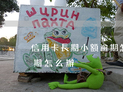 信用卡長期小額逾期怎么辦(貸款有信用卡逾期怎么辦)
