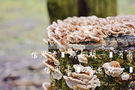 信用卡長期逾期一個月有手續(xù)費嗎-信用卡長期逾期一個月有手續(xù)費嗎多少錢