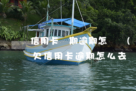 信用卡長期逾期怎樣協(xié)商還款-欠信用卡逾期怎么去協(xié)商