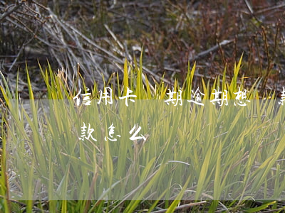 信用卡長期逾期想還款(信用卡長期逾期想還款怎么還)