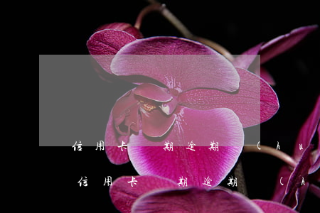 信用卡長期逾期會(huì)坐牢嗎知乎-信用卡長期逾期會(huì)坐牢嗎知乎
