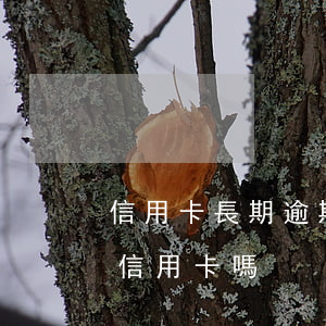 信用卡長期逾期有什么后果(逾期會影響申請信用卡嗎)
