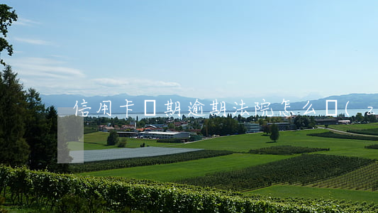 信用卡長期逾期法院怎么執(zhí)行
