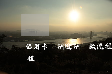 信用卡長期逾期還款流程(信用卡逾期后的流程)