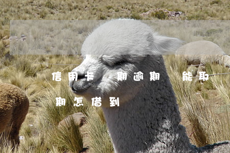 信用卡長期逾期還能取錢嗎(急用錢信用卡逾期怎借到錢)