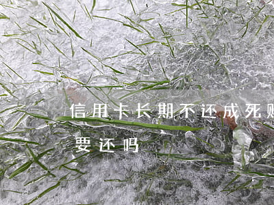 信用卡长期不还成死账烂账(欠信用卡死了还要还吗)
