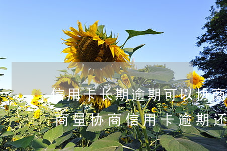 信用卡长期逾期可以协商还款吗(怎么与银行商量协商信用卡逾期还款事宜)
