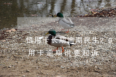 信用卡长期逾期民生(2021年民生银行信用卡逾期说要起诉)
