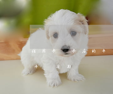 信用卡開卡后的年費逾期了（信用卡開卡后的年費逾期）