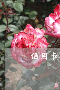 信用卡開卡逾期五天(信用卡5天沒還算逾期嗎)