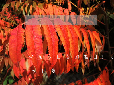 信用卡開庭前能協(xié)商嗎-欠信用卡開庭