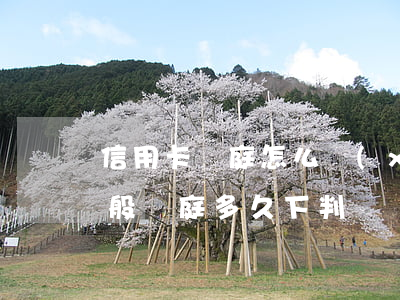 信用卡開庭怎么協(xié)商(欠信用卡一般開庭多久下判決書)