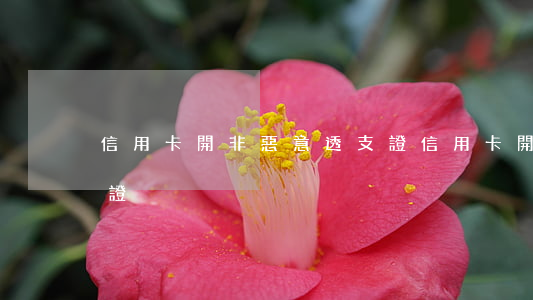 信用卡開非惡意透支證(信用卡開非惡意透支證)