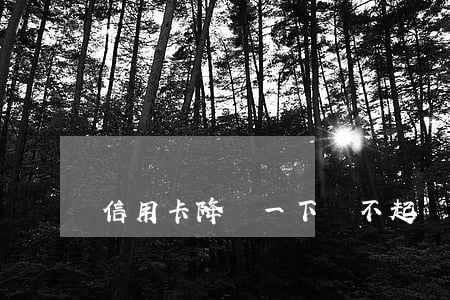 信用卡降額一下還不起