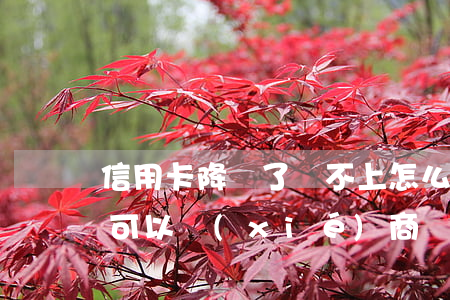 信用卡降額了還不上怎么辦-信用卡被降額可以協(xié)商還款嗎