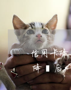 信用卡降額后一次性還不上怎么辦-信用卡降額后一次性還不上怎么辦,每個月還幾千可以嗎