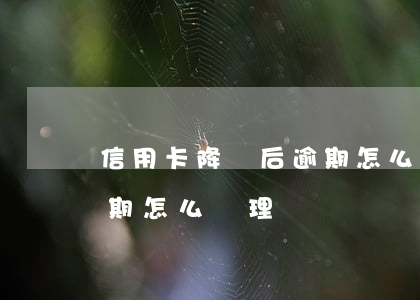 信用卡降額后逾期怎么辦-信用卡降額后逾期怎么辦理