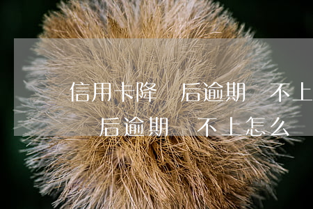 信用卡降額后逾期還不上怎么辦-信用卡降額后逾期還不上怎么辦呢
