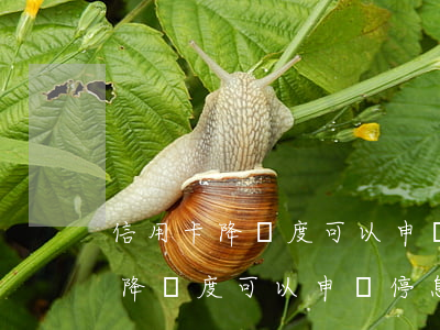 信用卡降額度可以申請停息掛賬嗎-信用卡降額度可以申請停息掛賬嗎