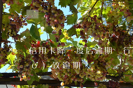 信用卡降額度后逾期(銀行降低額度導(dǎo)致逾期)