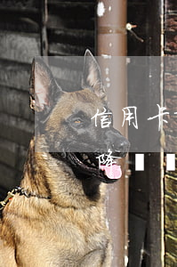 信用卡降額沒錢還不想逾期怎么辦-信用卡降額沒錢還不想逾期怎么辦呢