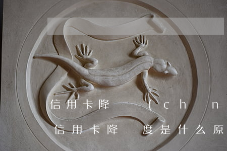 信用卡降額產(chǎn)生透支利息(銀行信用卡降額度是什么原因)