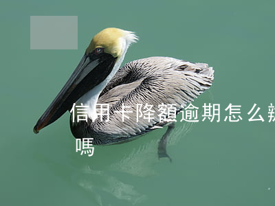 信用卡降額逾期怎么辦(降額的信用卡能恢復嗎)
