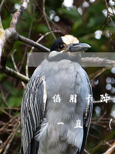 信用卡降額還不上怎么辦(信用卡銀行降額了,一直沒(méi)還)