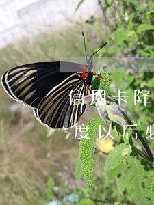 信用卡降额度还不上怎么处理-信用卡降额度以后必须还清降的额度吗
