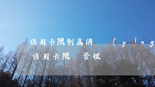 信用卡限制高消費，應(yīng)對高消費：信用卡限額管理