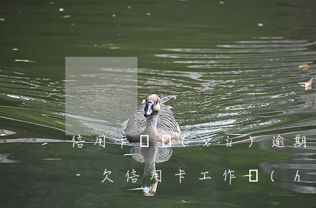 信用卡陸續(xù)逾期找不到工作怎么辦-欠信用卡工作會(huì)丟嗎