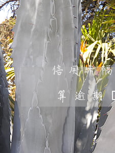 信用卡隔天還算不算逾期(信用卡晚還了兩天算逾期嗎)