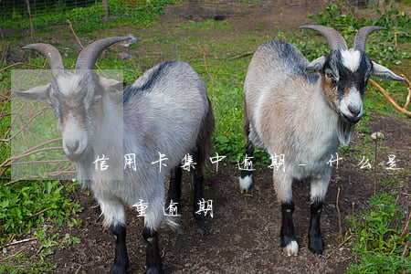 信用卡集中逾期-什么是信用卡嚴(yán)重逾期