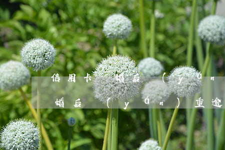 信用卡離婚后嚴(yán)重逾期 信用卡離婚后嚴(yán)重逾期會(huì)怎么樣