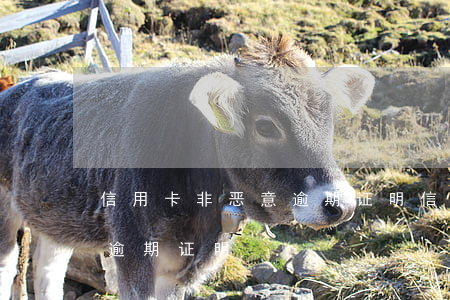 信用卡非恶意逾期证明（信用卡逾期的非恶意逾期证明）