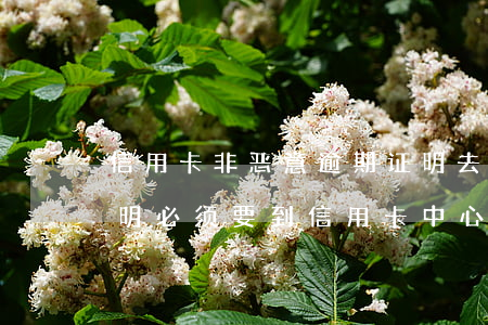 信用卡非恶意逾期证明去哪开(非恶意逾期证明必须要到信用卡中心开吗)