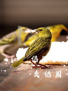 信用卡非惡意透支證明模板(怎么定性惡意透支信用卡)
