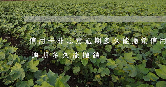 信用卡非惡意逾期多久能撤銷（信用卡非惡意逾期多久能撤銷）