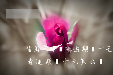 信用卡非惡意逾期幾十元怎么辦 信用卡非惡意逾期幾十元怎么辦